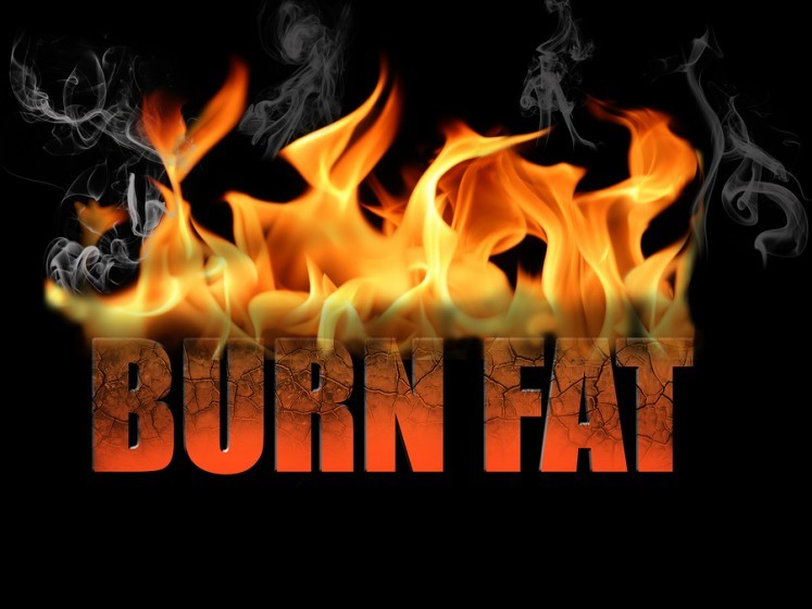 Wonder Fat Burning Supplements– Your Companion In Weight-loss?