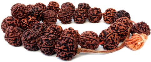 Boost your energy with rudraksha