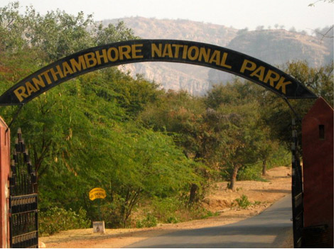 Things to Know Before Planning a Trip to Ranthambore