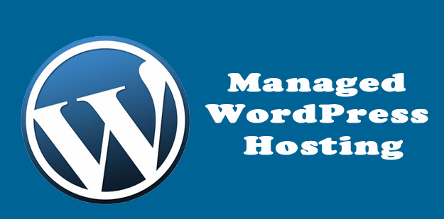 Scalable and Secure Managed WordPress Hosting Reinforce Website Performance
