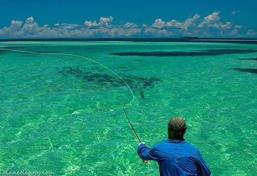 Key West’s Best Inns Named by Key West Snorkeling Co.