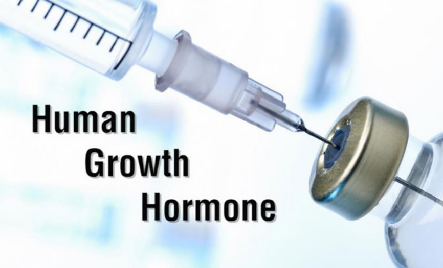 What is Human Growth hormone?