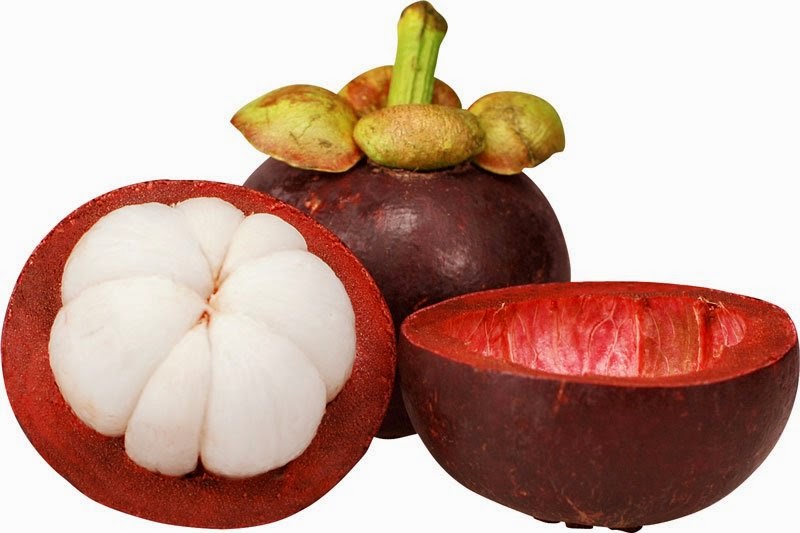 Amazing health benefits of Garcinia Cambogia fruit extract!