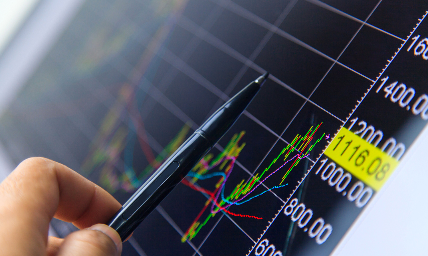 Different Options to Select in Stock Market Courses