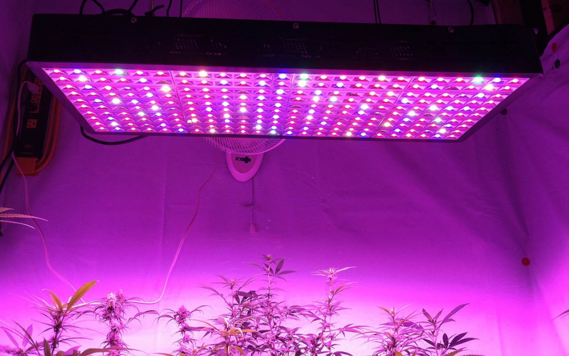 LED Grow Lights technology is taking over Sun