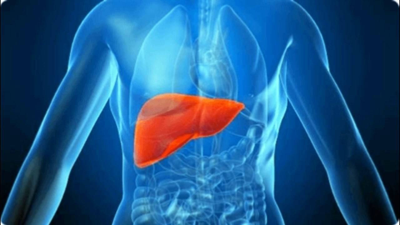 Liver Cancer – Understanding the Condition, Side Effects and Its Promising Treatment
