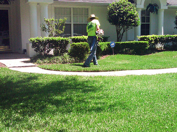 Landscaping maintenance