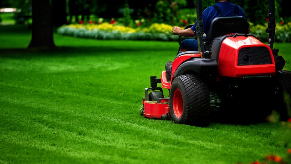 Lawn maintenance services and eco-friendly landscaping