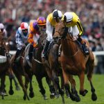 Guide to Understanding the Real Charm of Horse Racing as a Sport