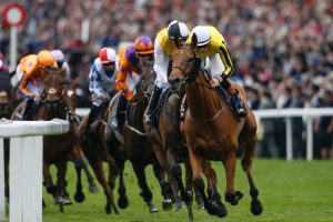 Horse Racing