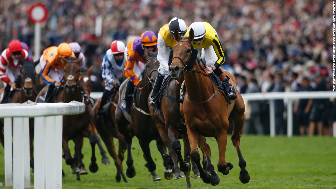 Guide to Understanding the Real Charm of Horse Racing as a Sport