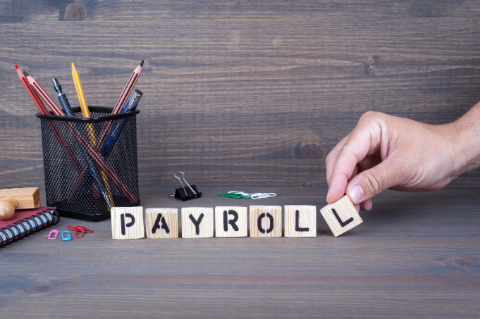 Robust Payroll Software For Small Businesses – India’s Best