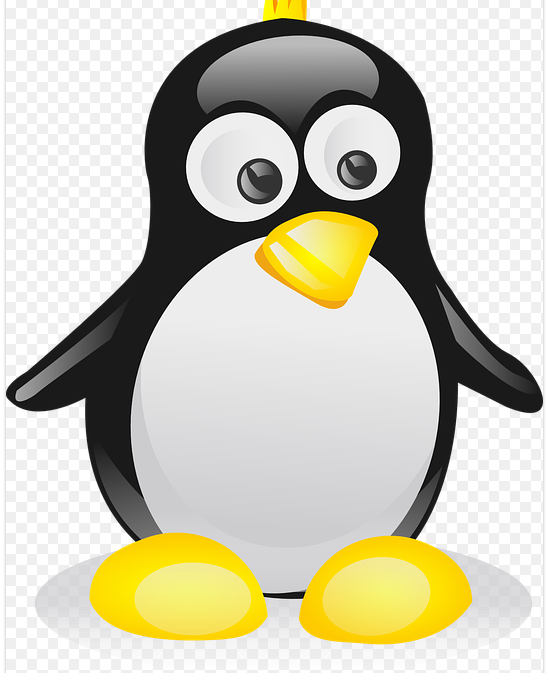 Are You Looking for Linux Web Hosting in India?