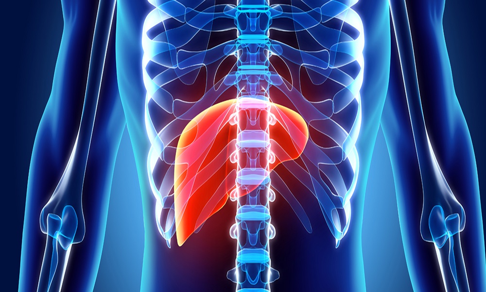 Factors Determining the Cost of Paediatric Liver Transplant in India